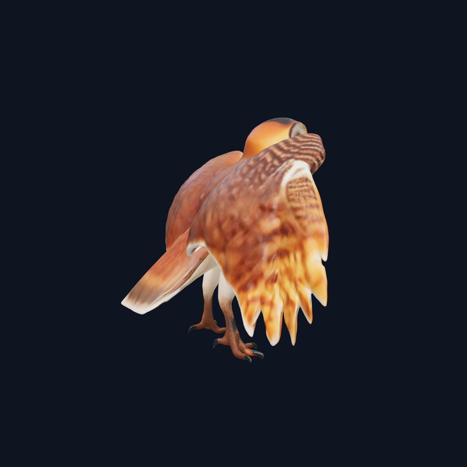 Elegant Owl model pack